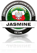 jasmin